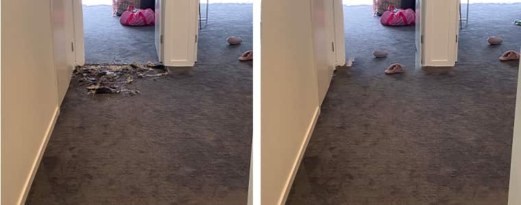 Carpet Repair Brunswick